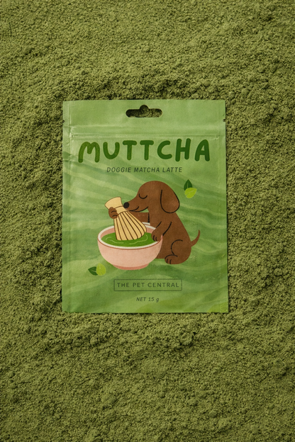 Muttcha® Doggie Matcha Latte