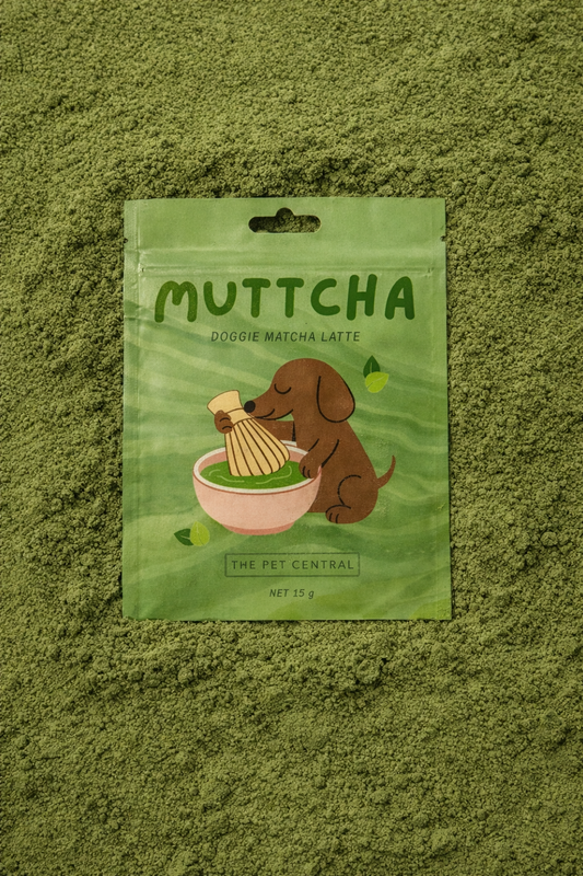 Muttcha® Doggie Matcha Latte