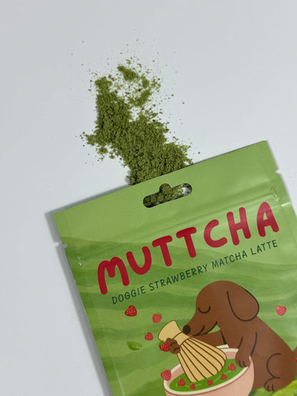 Strawberry Muttcha® Doggie Strawberry Latte