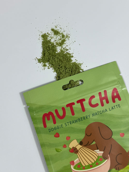 Strawberry Muttcha® Doggie Strawberry Latte